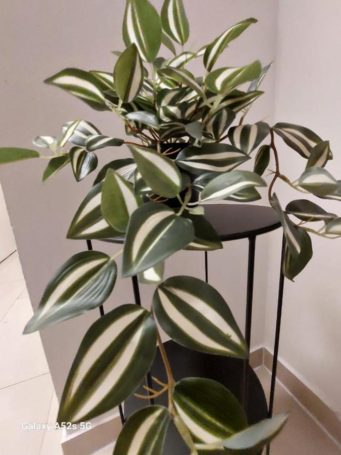 Appartement Am Uni Park Koeln Suelz Exteriör bild